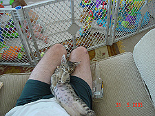 Dave is teaching baby Allie bad habits.