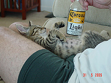 Looks like someone can't hold her liquor.