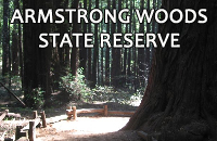 Armstrong Woods Park