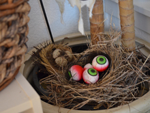 Halloween decorations