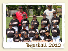 Baseball Page - 2012