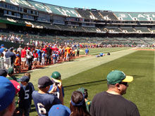 WSLL Little League Day
