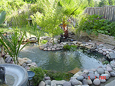 Another view  with more rock added...