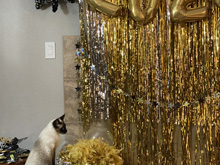 New Year's Eve Decorations