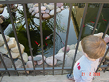 Hunter lookint at the fish...