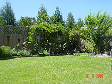 Another view of the yard...