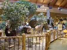 Cabela's
