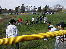 T-Ball Training Day