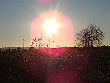 A beautiful evening for a walk...