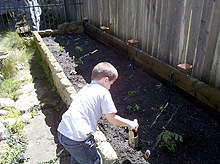 Hunter watering the garden area.