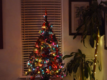 Christmas Decorations