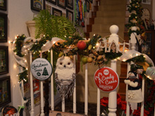 Christmas Decorations